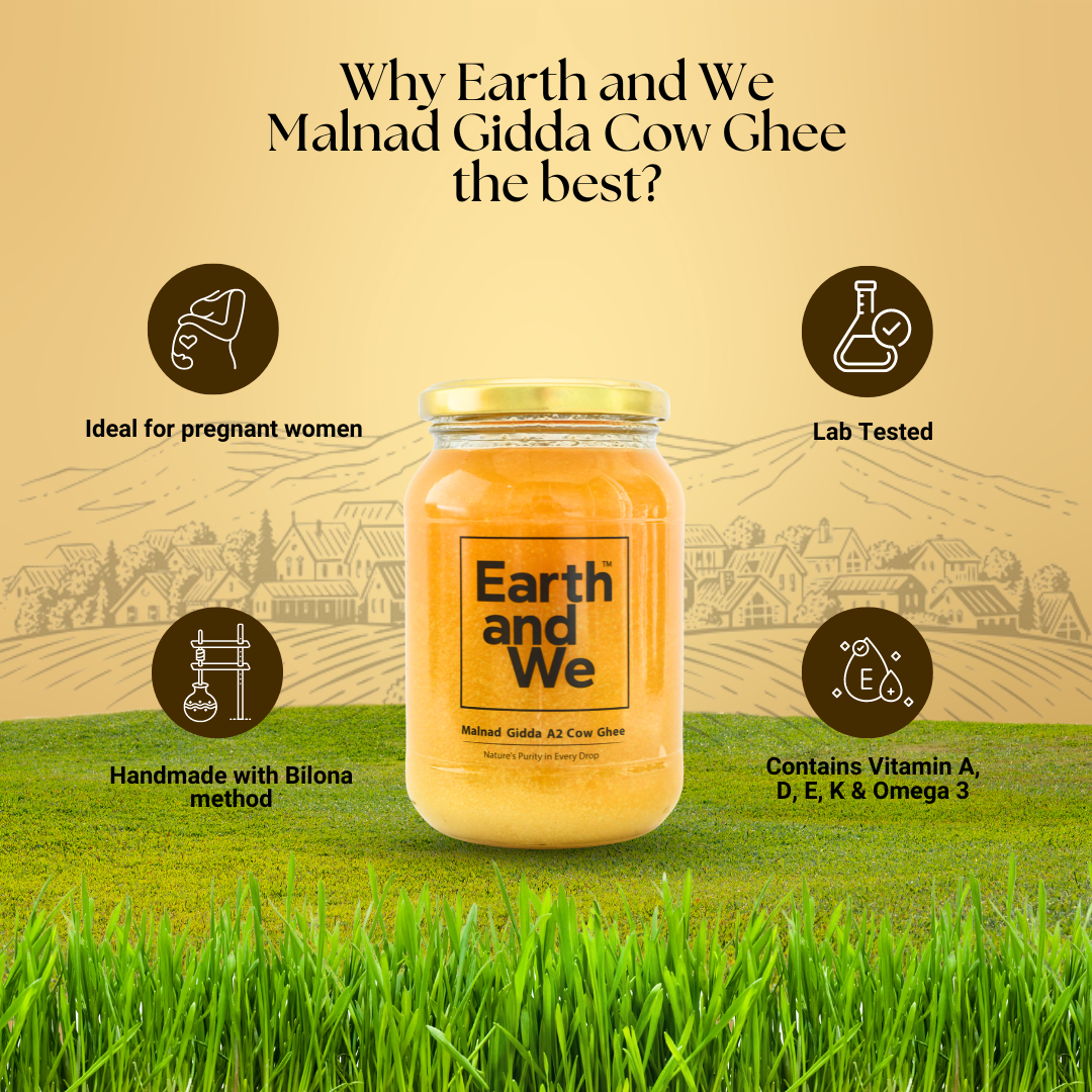 Malnad Gidda A2 Cow Ghee | Pure Bilona Grass-Fed Desi Ghee