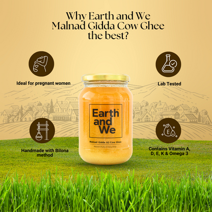 Malnad Gidda A2 Cow Ghee | Pure Bilona Grass-Fed Desi Ghee