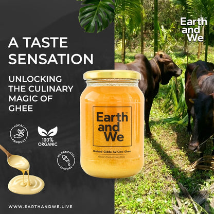 Malnad Gidda A2 Cow Ghee | Pure Bilona Grass-Fed Desi Ghee
