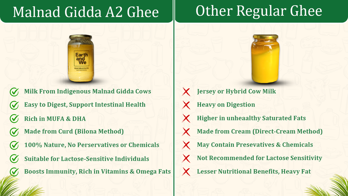 Malnad Gidda A2 Cow Ghee benefits comparison with other regular ghee highlighting nutrition and digestion.