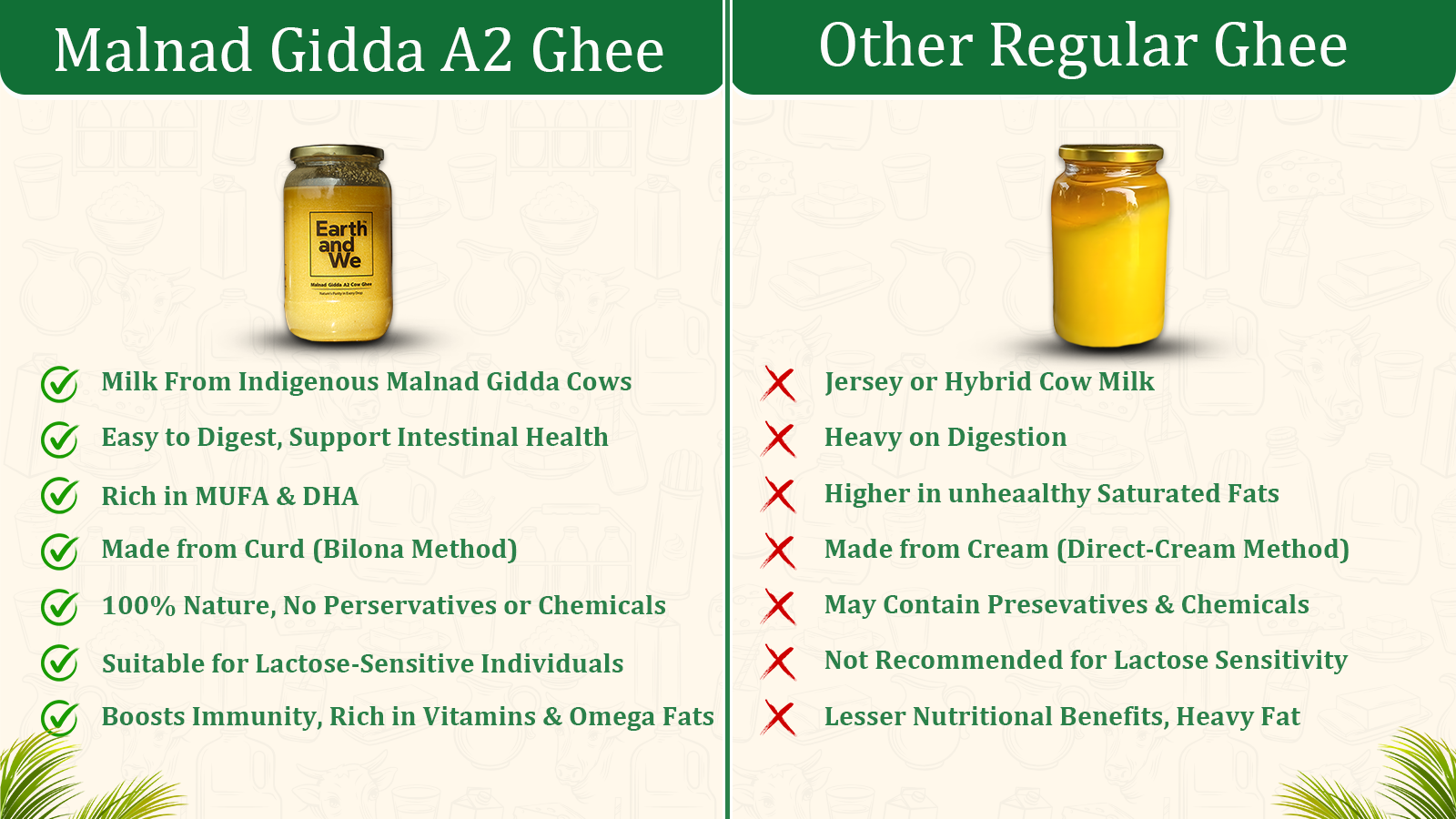 Malnad Gidda A2 Cow Ghee benefits comparison with other regular ghee highlighting nutrition and digestion.