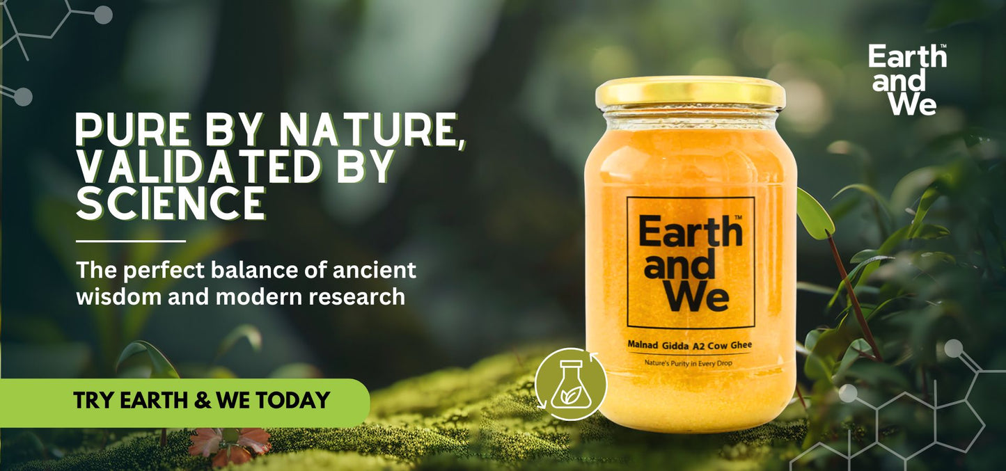 Malnad Gidda A2 Cow Ghee jar with Earth and We branding in a natural setting.