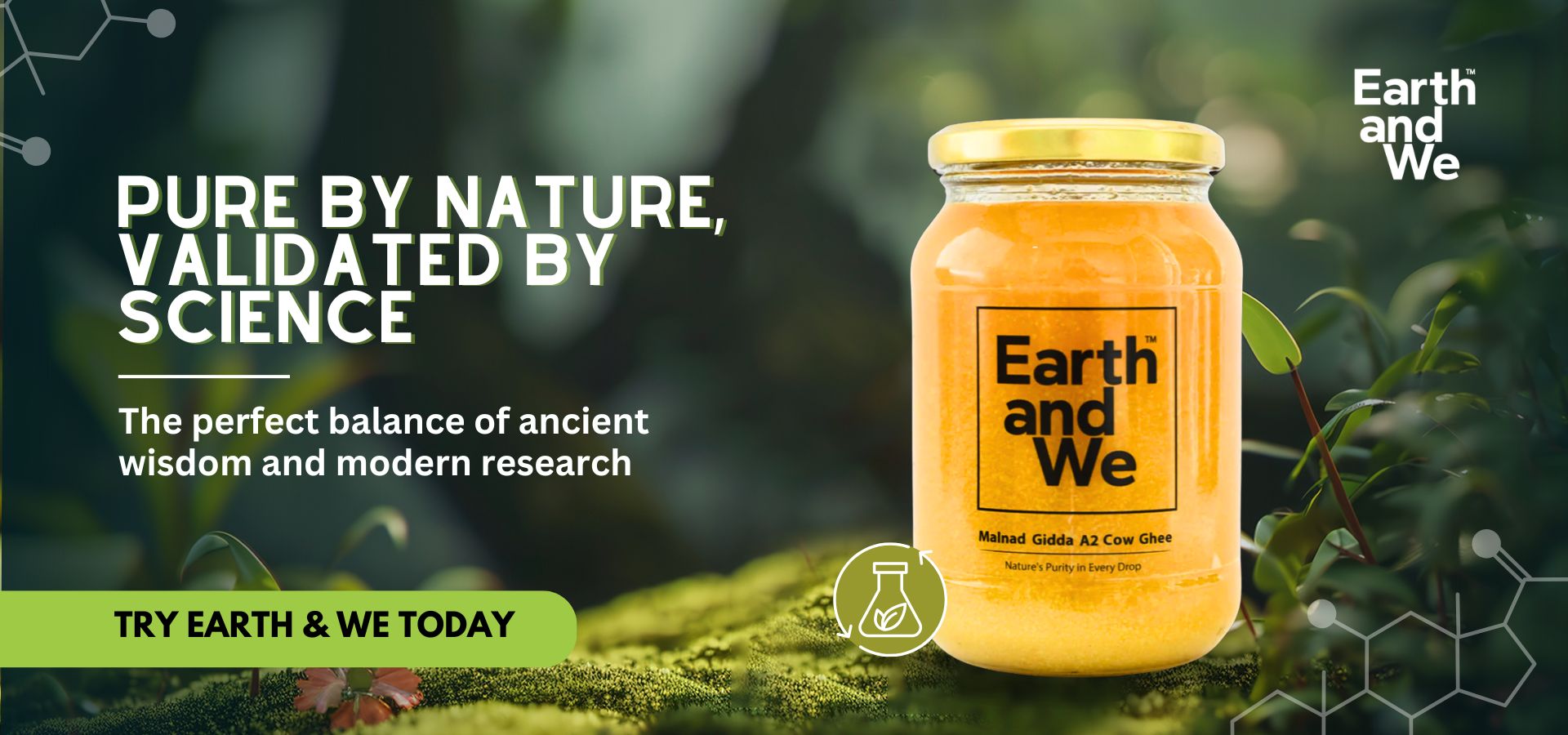 Malnad Gidda A2 Cow Ghee jar with Earth and We branding in a natural setting.